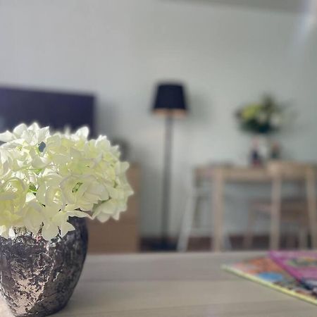 Bergfeeling Mit Oberstaufen Plus 外观 照片
